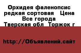 Орхидея фаленопсис редкая сортовая › Цена ­ 800 - Все города  »    . Тверская обл.,Торжок г.